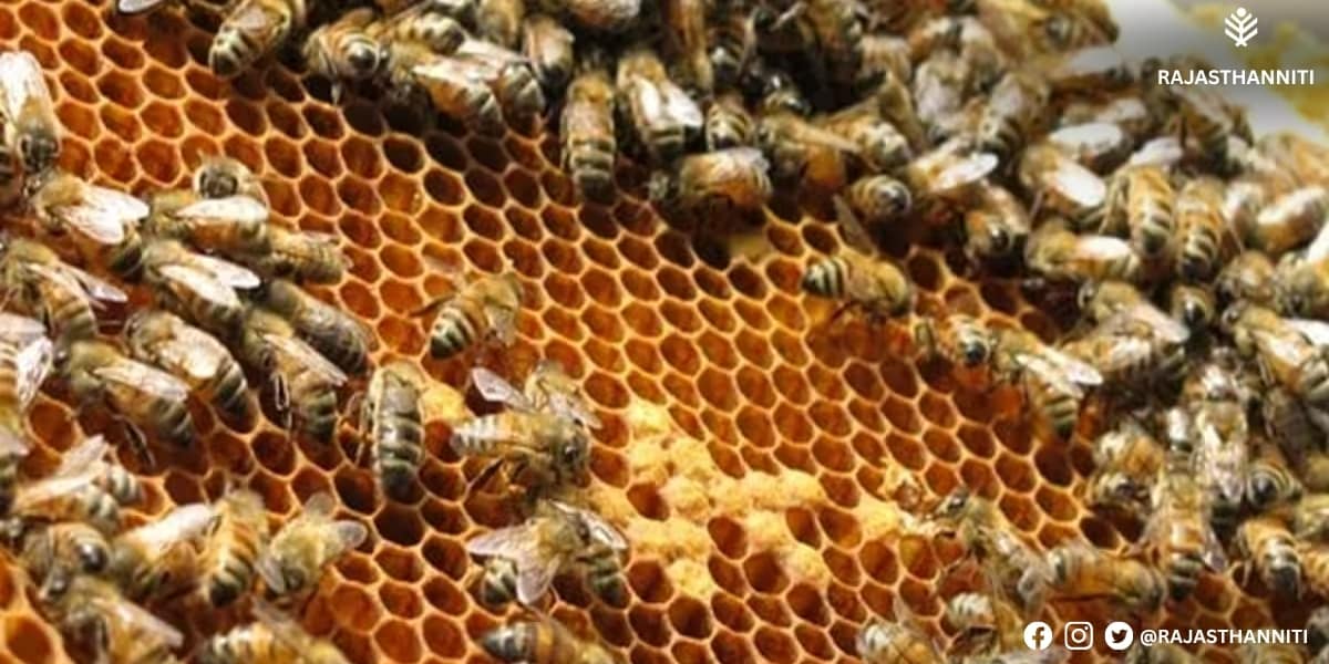 किसानों की बढ़ी कमाई किसानों की बढ़ी कमाई