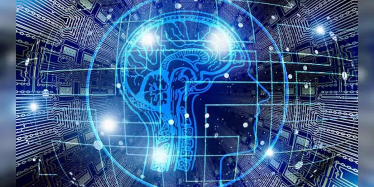 Jaipur Startup Jaipur Startup