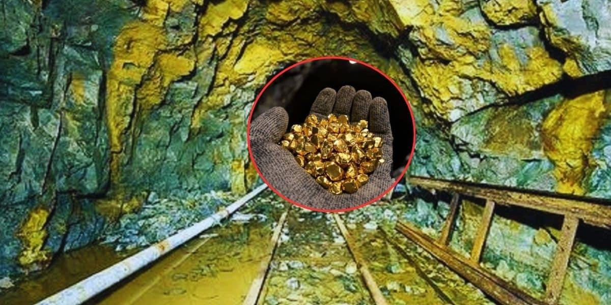 Rajasthan Gold Reserve Rajasthan Gold Reserve